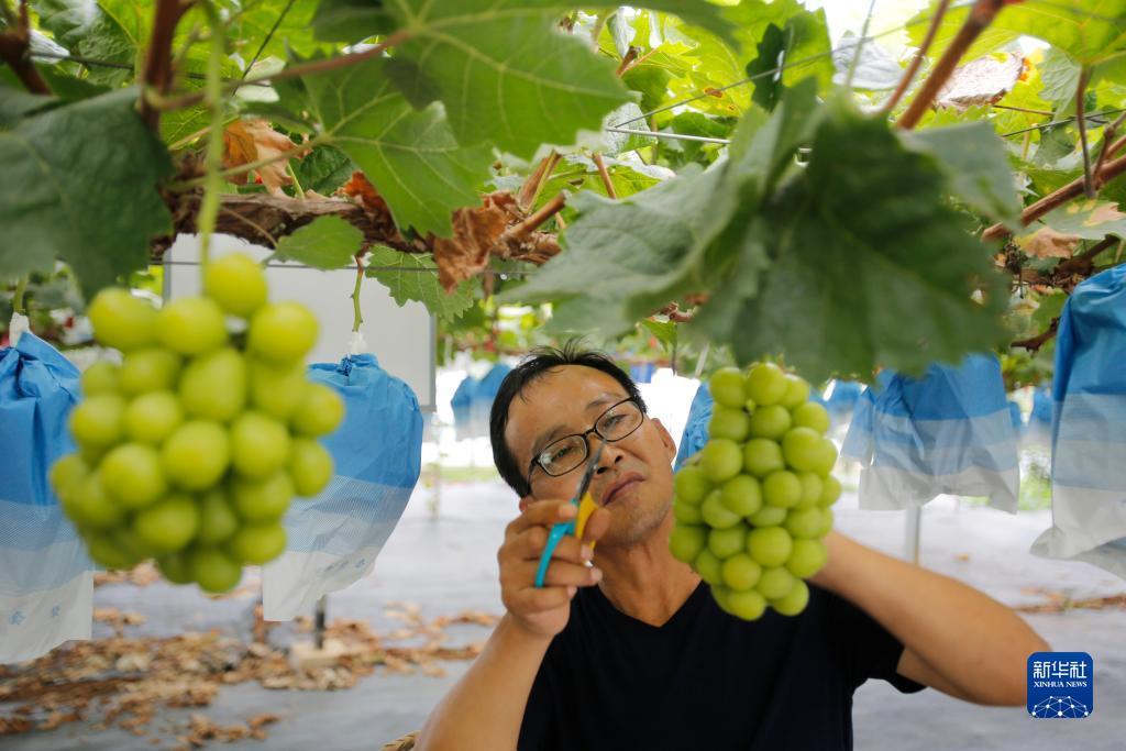 摆脱怎么玩